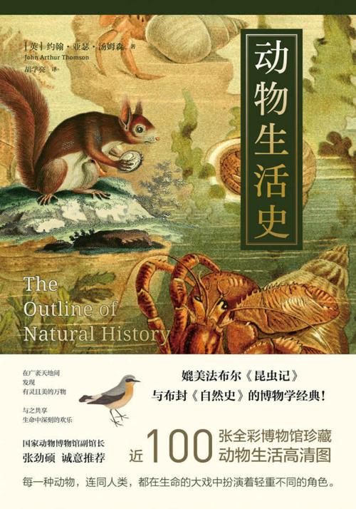 动物生活史-azw3+epub+mobi+pdf+txt电子书下载