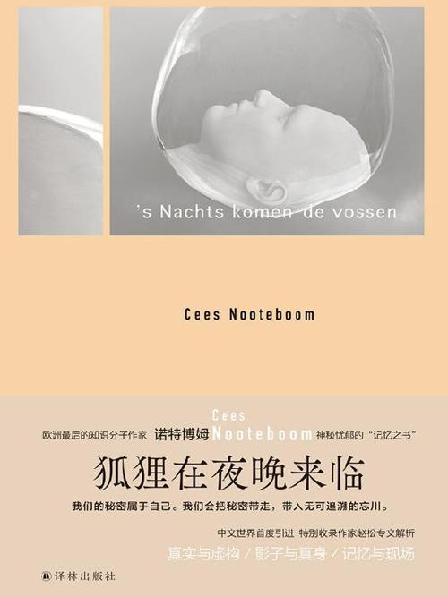 狐狸在夜晚来临-azw3+epub+mobi+pdf+txt电子书下载