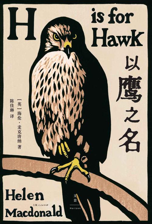 以鹰之名-azw3+epub+mobi+pdf+txt电子书下载