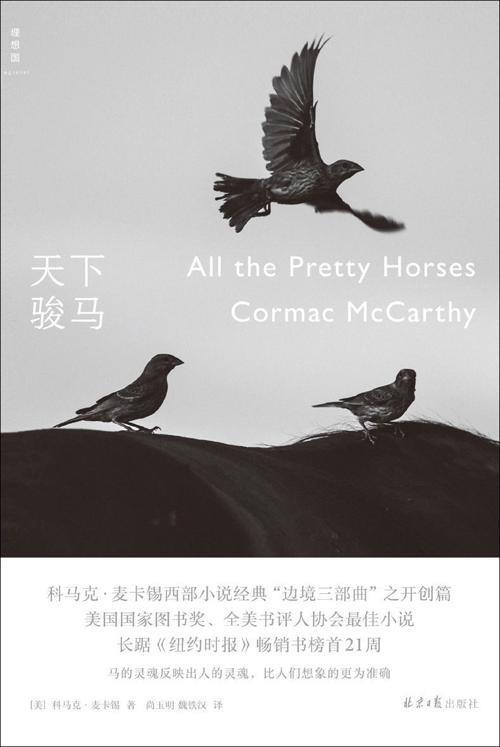 天下骏马-azw3+epub+mobi+pdf+txt电子书下载