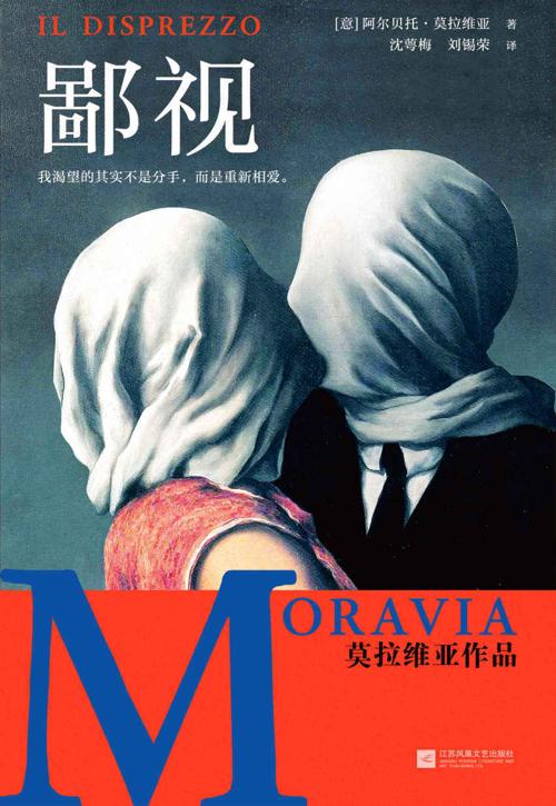 鄙视-azw3+epub+mobi+pdf+txt电子书下载