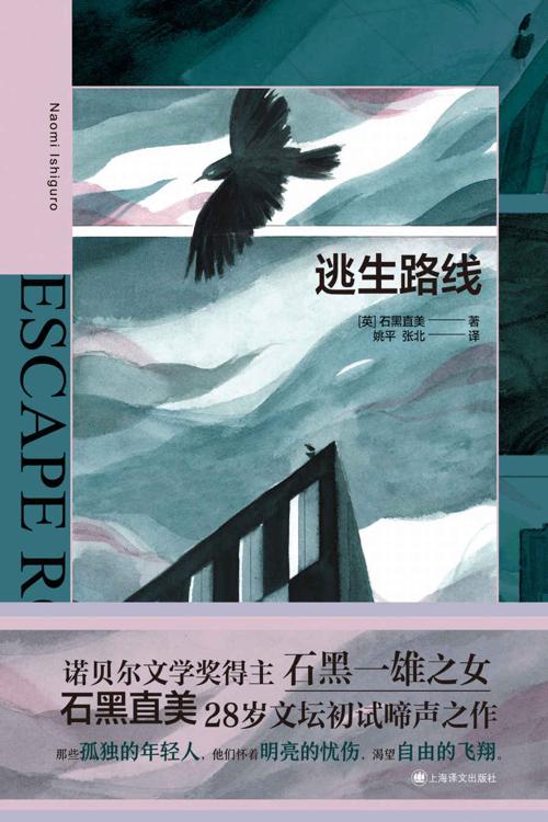逃生路线-azw3+epub+mobi+pdf+txt电子书下载