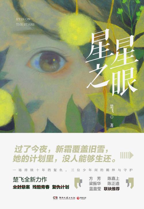 星星之眼-azw3+epub+mobi+pdf+txt电子书下载