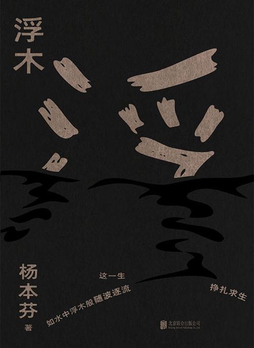 浮木-azw3+epub+mobi+pdf+txt电子书下载