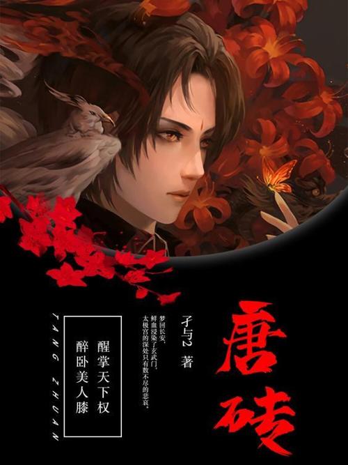 唐砖-azw3+epub+mobi+pdf+txt电子书下载