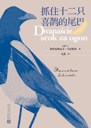 抓住十二只喜鹊的尾巴-azw3+epub+mobi+pdf+txt电子书下载