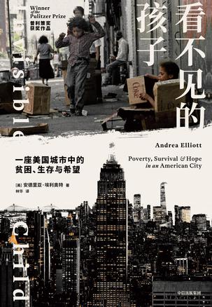看不见的孩子-azw3+epub+mobi+pdf+txt电子书下载