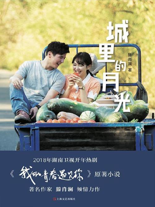 城里的月光-azw3+epub+mobi+pdf+txt电子书下载