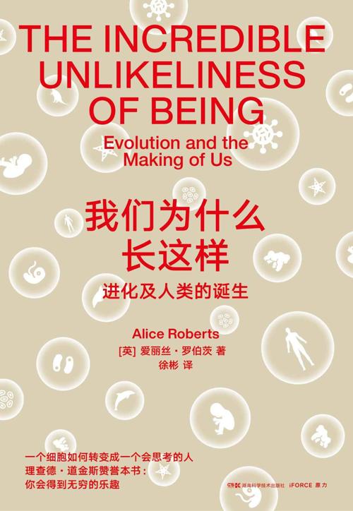 我们为什么长这样-azw3+epub+mobi+pdf+txt电子书下载