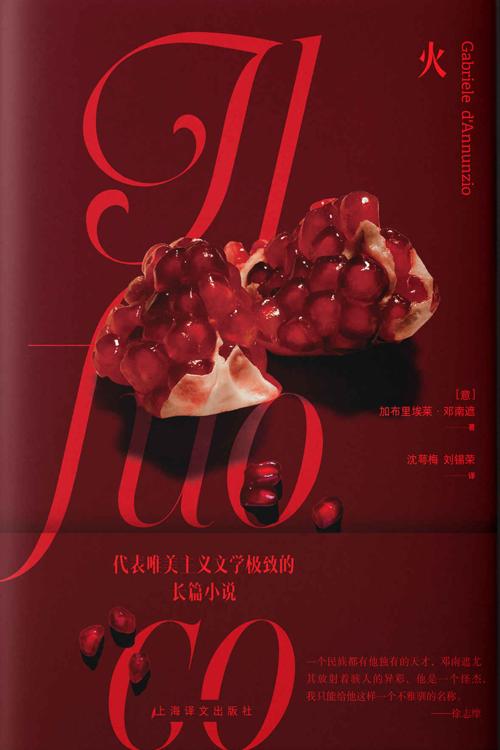 火-azw3+epub+mobi+pdf+txt电子书下载