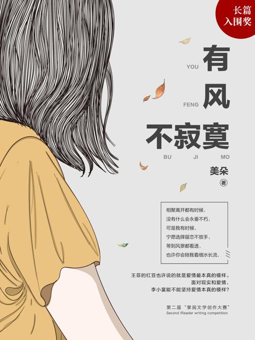 有风不寂寞-azw3+epub+mobi+pdf+txt电子书下载