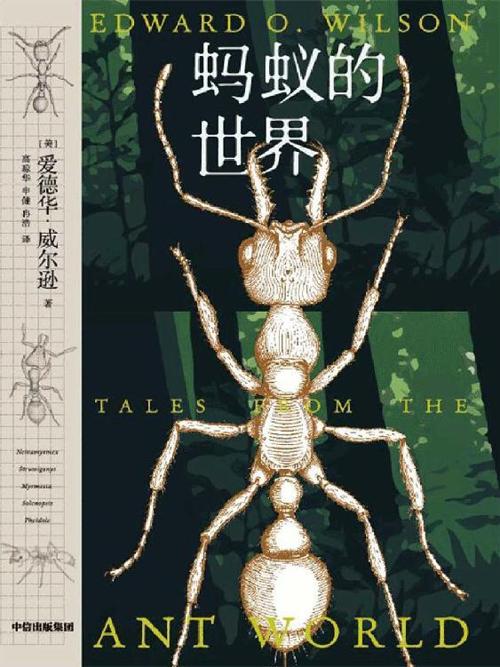 蚂蚁的世界-azw3+epub+mobi+pdf+txt电子书下载