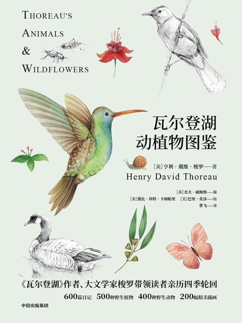 瓦尔登湖动植物图鉴：动物篇+植物篇（2册）-azw3+epub+mobi+pdf+txt电子书下载