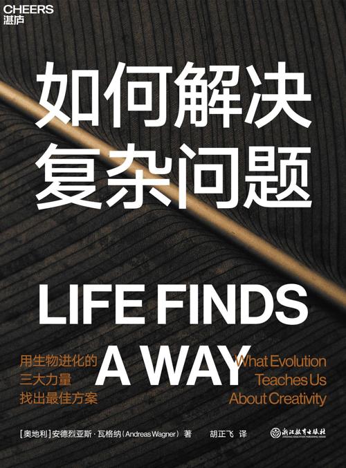 如何解决复杂问题-azw3+epub+mobi+pdf+txt电子书下载