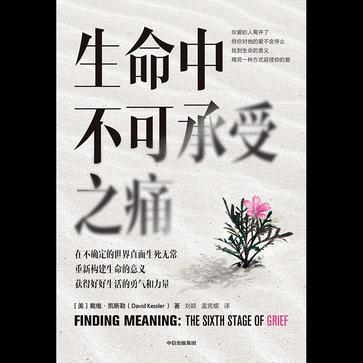 生命中不可承受之痛-azw3+epub+mobi+pdf+txt电子书下载