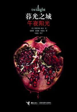 午夜阳光-azw3+epub+mobi+pdf+txt电子书下载