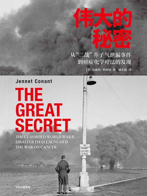 伟大的秘密-azw3+epub+mobi+pdf+txt电子书下载