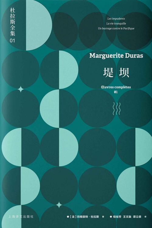 堤坝-azw3+epub+mobi+pdf+txt电子书下载