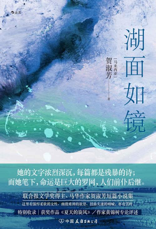 湖面如镜-azw3+epub+mobi+pdf+txt电子书下载