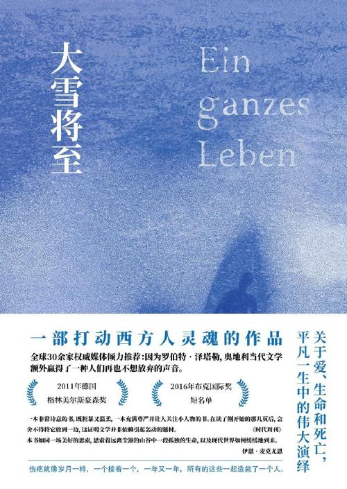 大雪将至-azw3+epub+mobi+pdf+txt电子书下载