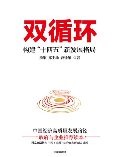 双循环 : 构建“十四五”新发展格局-azw3+epub+mobi+pdf+txt电子书下载