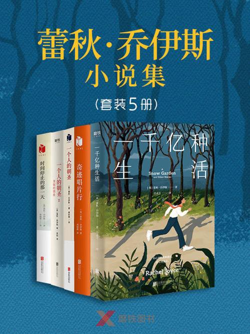 蕾秋·乔伊斯小说集（套装5册）-azw3+epub+mobi+pdf+txt电子书下载