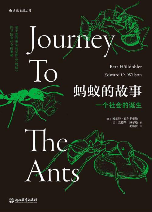 蚂蚁的故事-azw3+epub+mobi+pdf+txt电子书下载