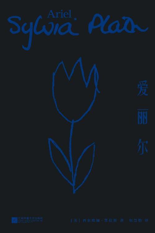 爱丽尔-azw3+epub+mobi+pdf+txt电子书下载