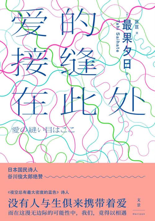 爱的接缝在此处-azw3+epub+mobi+pdf+txt电子书下载