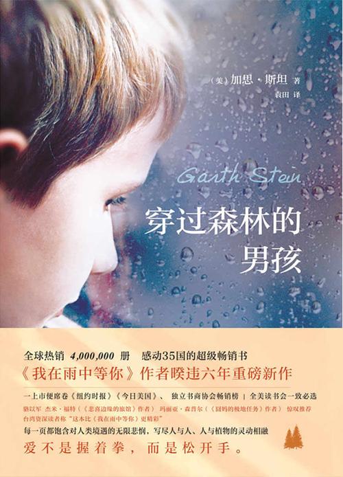 穿过森林的男孩-azw3+epub+mobi+pdf+txt电子书下载