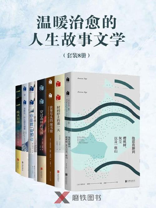 温暖治愈的人生故事文学（套装8册）-azw3+epub+mobi+pdf+txt电子书下载