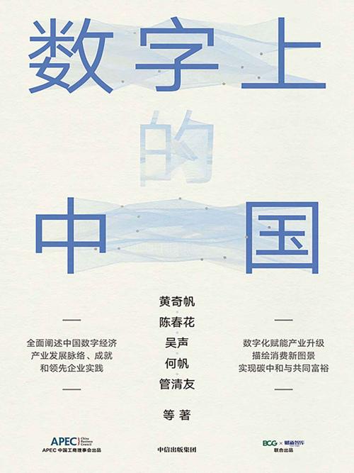 数字上的中国-azw3+epub+mobi+pdf+txt电子书下载