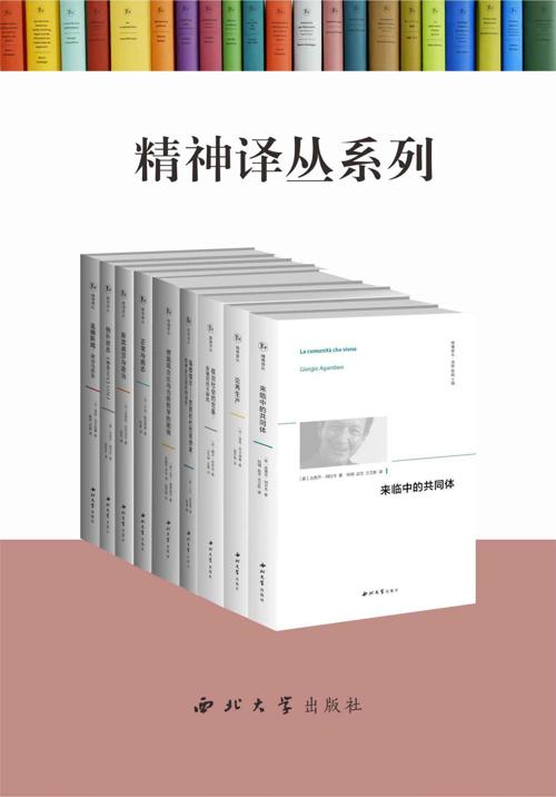 精神译丛（套书共9册）-azw3+epub+mobi+pdf+txt电子书下载