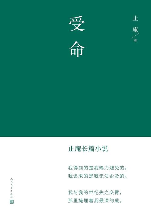 受命-azw3+epub+mobi+pdf+txt电子书下载