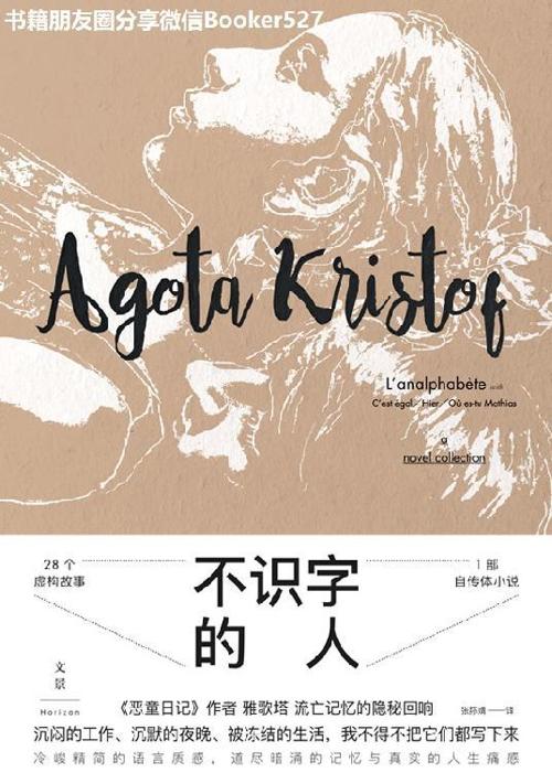 不识字的人-azw3+epub+mobi+pdf+txt电子书下载