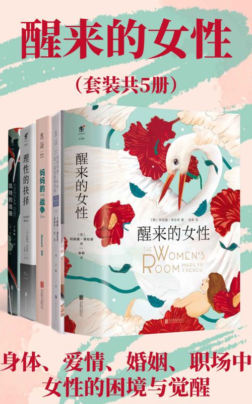 醒来的女性系列（套装共5册）-azw3+epub+mobi+pdf+txt电子书下载