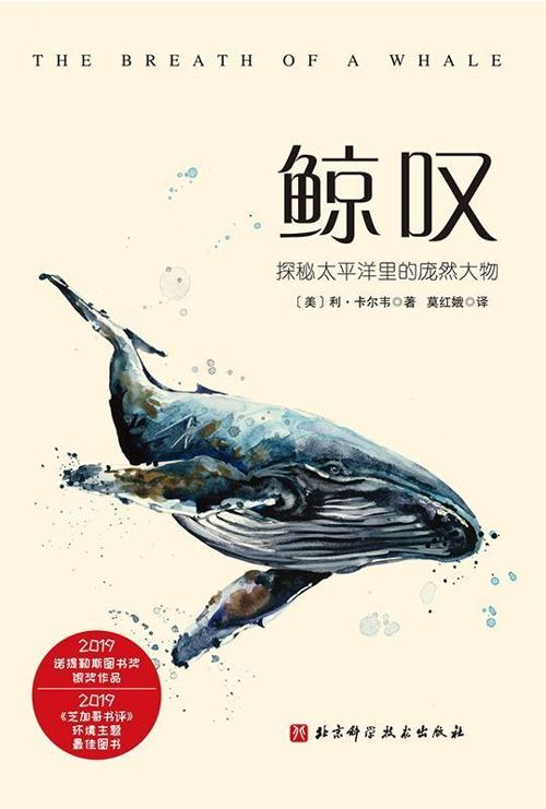 鲸叹-azw3+epub+mobi+pdf+txt电子书下载