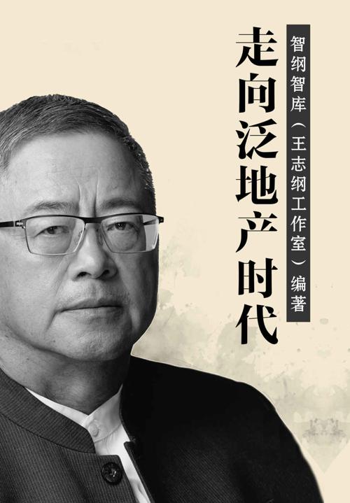 走向泛地产时代-azw3+epub+mobi+pdf+txt电子书下载
