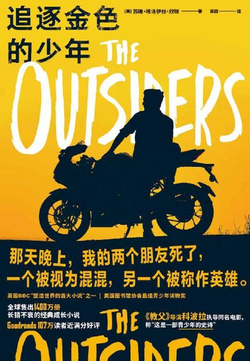 追逐金色的少年-azw3+epub+mobi+pdf+txt电子书下载