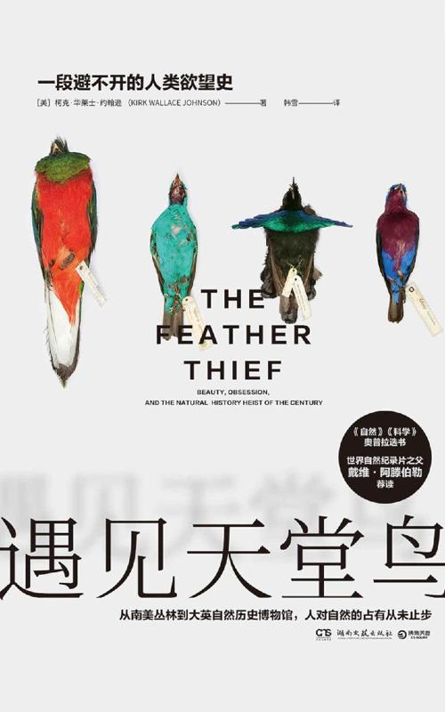 遇见天堂鸟-azw3+epub+mobi+pdf+txt电子书下载