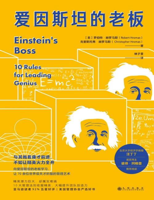 爱因斯坦的老板-azw3+epub+mobi+pdf+txt电子书下载