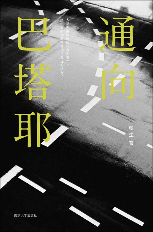 通向巴塔耶-azw3+epub+mobi+pdf+txt电子书下载
