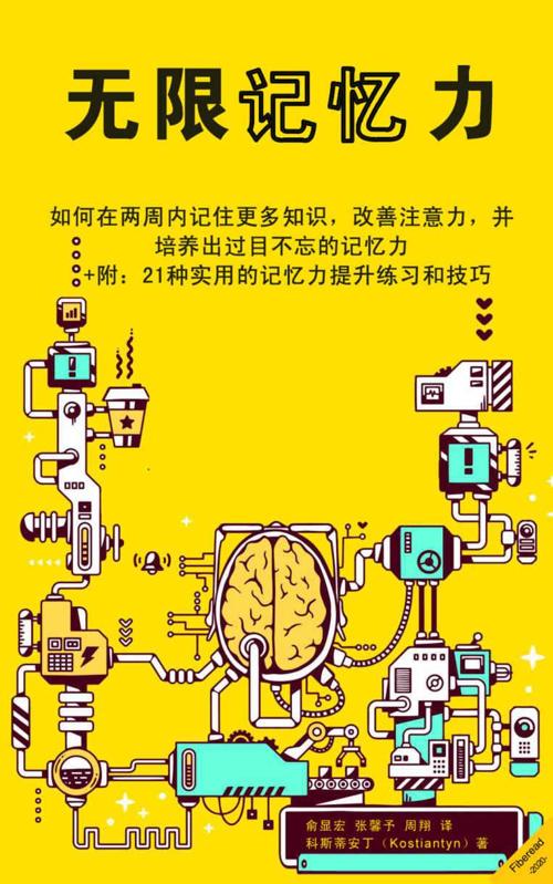 无限记忆力-azw3+epub+mobi+pdf+txt电子书下载