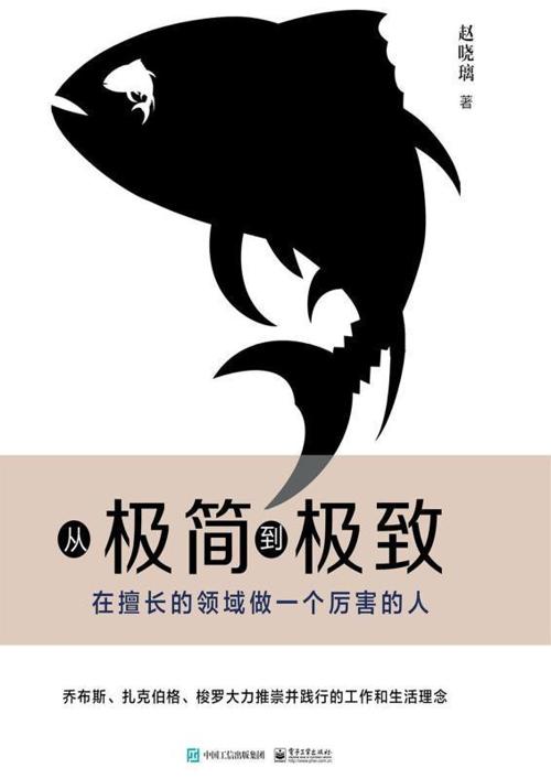 从极简到极致：在擅长的领域做一个厉害的人-azw3+epub+mobi+pdf+txt电子书下载
