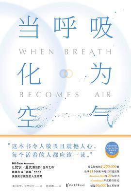 当呼吸化为空气-azw3+epub+mobi+pdf+txt电子书下载