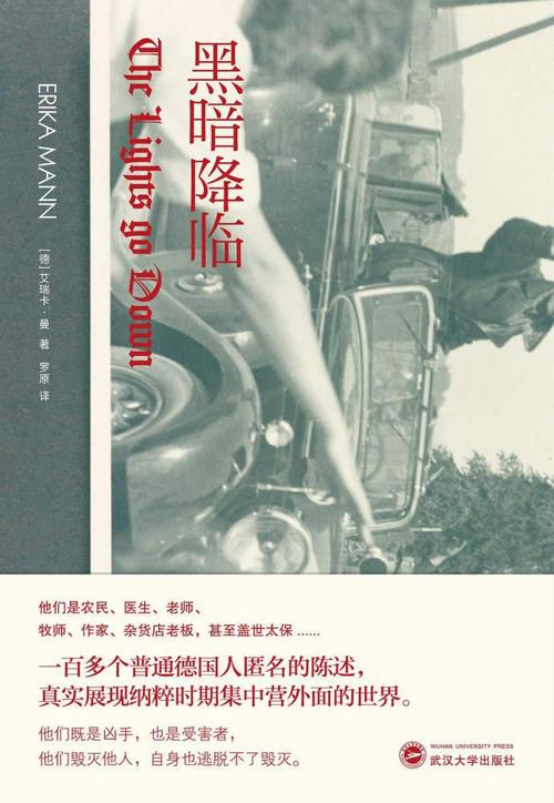 黑暗降临-azw3+epub+mobi+pdf+txt电子书下载