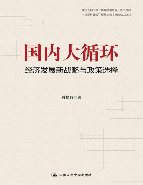 国内大循环：经济发展新战略与政策选择-azw3+epub+mobi+pdf+txt电子书下载