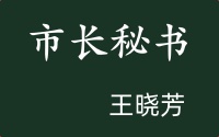 市长秘书-azw3+epub+mobi+pdf+txt电子书下载
