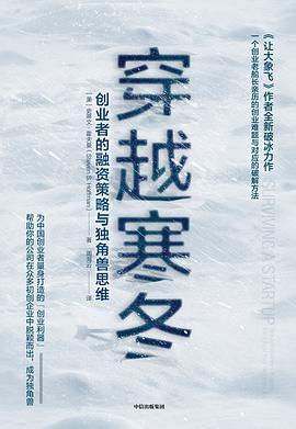 穿越寒冬:创业者的融资策略与独角兽思维-azw3+epub+mobi+pdf+txt电子书下载