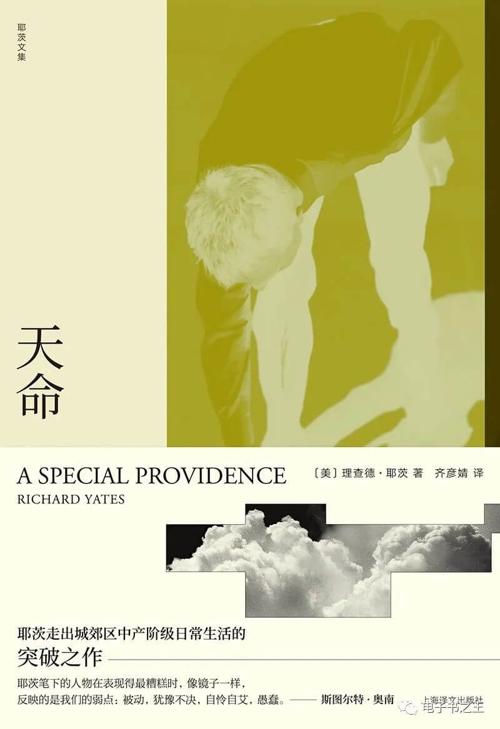 《天命》—理查德·耶茨-azw3+epub+mobi+pdf+txt电子书下载